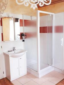 a bathroom with a shower and a sink at Chambres d'Hôtes La Noyeraie in Izeron