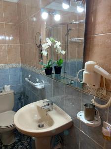 ベシンダリオにあるVacacional Tegueste 2ºBのバスルーム(洗面台、トイレ、鏡付)