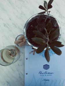 una pianta in vaso seduta sopra una carta di Zante Pantheon Hotel a Tsilivi Altre 37 foto