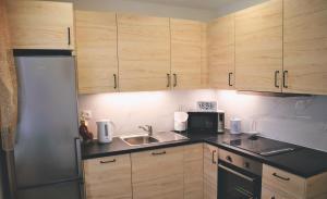 uma cozinha com armários de madeira e um frigorífico de aço inoxidável em Center City Apartment II em Nitra