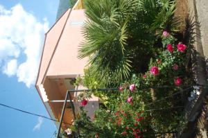un edificio con flores rosas y una palmera en Vila Montenegro, en Dobra Voda