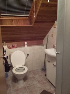 a bathroom with a toilet and a sink at Pavlov Děvicky in Pavlov +8 photos