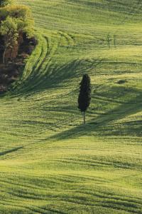 Fotografie z fotogalerie ubytování Il Paretaio v destinaci Barberino di Val dʼElsa