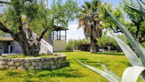 アフィトスにあるAmazing Sea View Loft, Afytosの木と石の壁のある庭