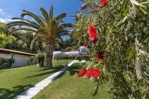 Zahrada ubytování Hotel Livia