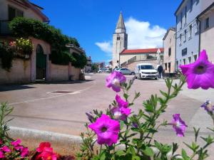 Ein paar lila Blumen vor einer Straße in der Unterkunft Apartment Seashell in Šišan