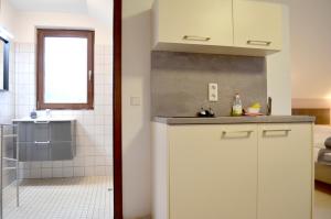 Kuchyň nebo kuchyňský kout v ubytování Hana Aparthotel