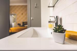eine Topfpflanze auf einer Theke neben einem Waschbecken in der Unterkunft Le cœur de Reims, la mairie et le Boulingrin in Reims + 17 Fotos