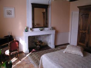 a bedroom with a bed and a fireplace with a mirror at La Ferme Du Luc in Le Chêne