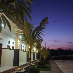 two palm trees in front of a building at night at Ega Homestay in Nusa Penida