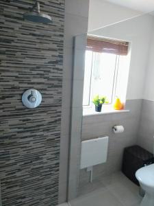 a bathroom with a shower with a sink and a window at Rosies in Clifden