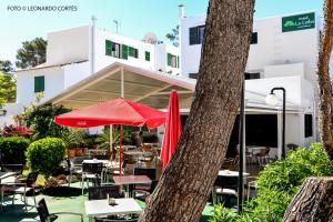 Zdjęcie z galerii obiektu Hostal La Ceiba w mieście Cala d´Or