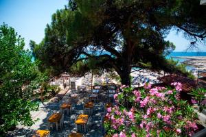 En trädgård utanför Psili Ammos Seaside Luxury Rooms