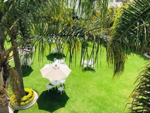 - une vue sur une pelouse avec un parasol et des chaises dans l'établissement Hotel Posada Maria Sofia, à Cholula