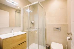 a bathroom with a shower and a sink and a toilet at PRIM 26 in Donostia-San Sebastián +13 photos