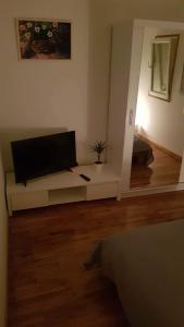 Televízia a/alebo spoločenská miestnosť v ubytovaní Anamarija apartment + 11 fotografií