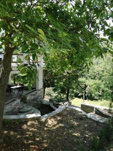 Giardino di House in the forest