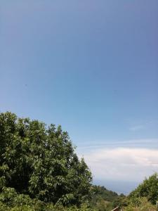 Paesaggio naturale nelle vicinanze della casa vacanze