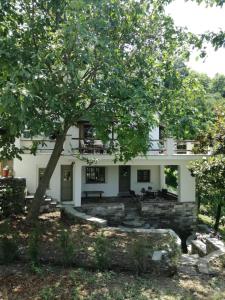 una casa bianca con un albero di fronte di House in the forest a Tsagarada