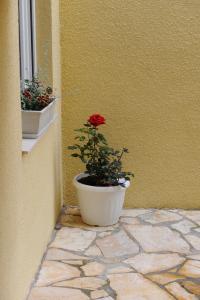 Fotografie z fotogalerie ubytování Apartmani Ivišić v destinaci Vodice