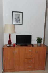 TV a/nebo společenská místnost v ubytování Apartmani Ivišić