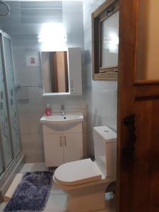 een badkamer met een toilet, een wastafel en een spiegel bij Doga Apartment in Famagusta