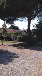 a park with a tree and a building in the background at ESCALE AU GRAU DU ROI in Le Grau-du-Roi