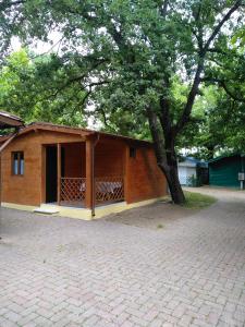un piccolo edificio con un albero di fronte di Camping Luni a Marina di Massa