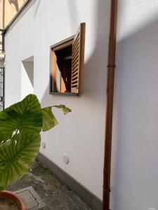 a window on the side of a building with a plant at Arco 37 in Alghero