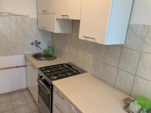 a small kitchen with a stove and a sink at Mieszkanie w Centrum in Gdynia