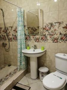 ゲレンジークにあるGostevoi dom na Novoiのバスルーム(洗面台、トイレ、シャワー付)