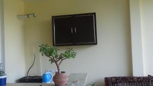 a black cabinet hanging on a wall with a plant at Guest house Ebralidze in Mtskheta