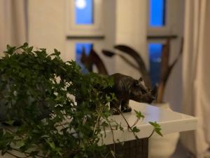 Fotografie z fotogalerie ubytování Ystads Gamla Vattentorn v destinaci Ystad
