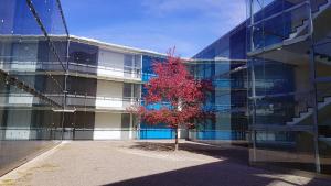 Hoone, kus apartement asub