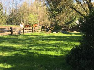 Afbeelding uit fotogalerij van Ekoturystyka Nowina in Nowina