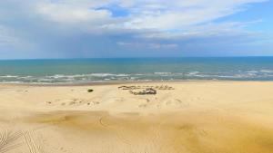a group of animals laying in the sand on a beach at Chalés Estrelas Do Mar in Barra Nova