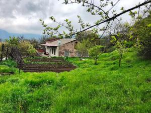 a house on a hill with a field of grass at Syunyats guest house in Halidzor +45 photos