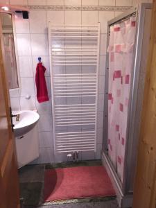 Koupelna v ubytování Wein4tel-Apartments