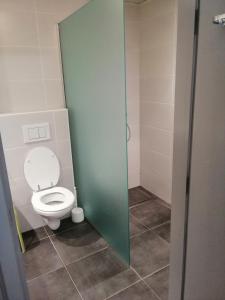 a bathroom with a toilet and a green door at Durbuy, ses ruelles pittoresques et sa gastronomie in Durbuy