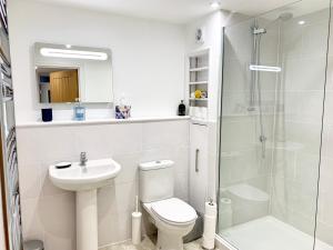 a bathroom with a toilet and a sink and a shower at The Birches in Cambridge