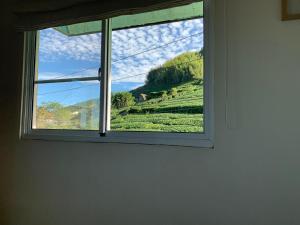 a window with a view of a tea plantation at Siangting B&B in Fenqihu