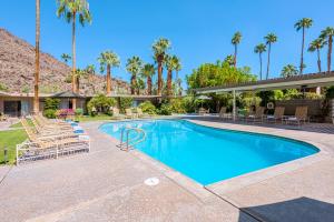 una piscina con sillas y palmeras en Desert Hills en Palm Springs