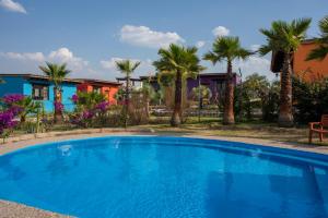 a large swimming pool with palm trees and houses at El Macehual in San Miguel de Allende