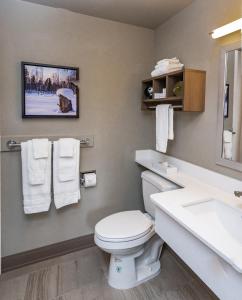 a bathroom with a toilet and a sink at Bridgewater Hotel, Trademark Collection by Wyndham in Fairbanks