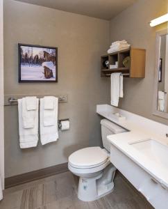 a bathroom with a toilet and a sink at Bridgewater Hotel, Trademark Collection by Wyndham in Fairbanks