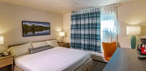 a hotel room with a bed and a large window at Bridgewater Hotel, Trademark Collection by Wyndham in Fairbanks +25 photos
