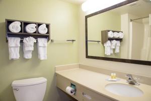 a bathroom with a sink and a toilet and a mirror at Pigeon River Inn in Pigeon Forge