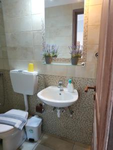 Gallery image of Mpouketo Apartments in Neos Marmaras