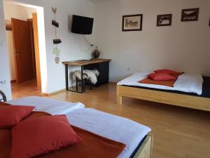a bedroom with two beds and a television at Guesthouse S in Luče