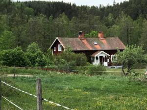 Příroda nedaleko venkovského domu